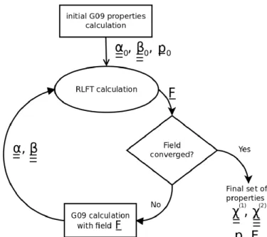 Fig. 1. Graphical scheme of the self-consistent field procedure within the RLFT method (G09 stands for Gaussian09 9 quantum chemistry package used for isolated molecule calculations)