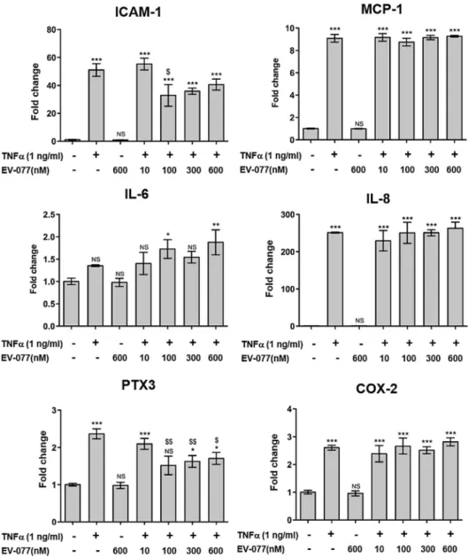 Fig. 2. Effects of EV-077 and TNF a on 6-keto PGF1 a secretion by HUVEC after 6 h of incubation