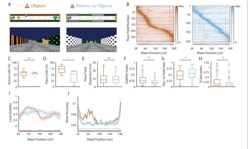 Figure 5. Effects of 2D wall patterns on hippocampal spatial coding resolution. (A) Schema (top) and picture (bottom) representing the original maze with objects (orange, left) and a maze with patterns on the walls but no objects (PØT; ligth blue, right)