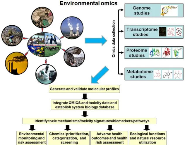Figure 1. Environmental OMICS and its applications 