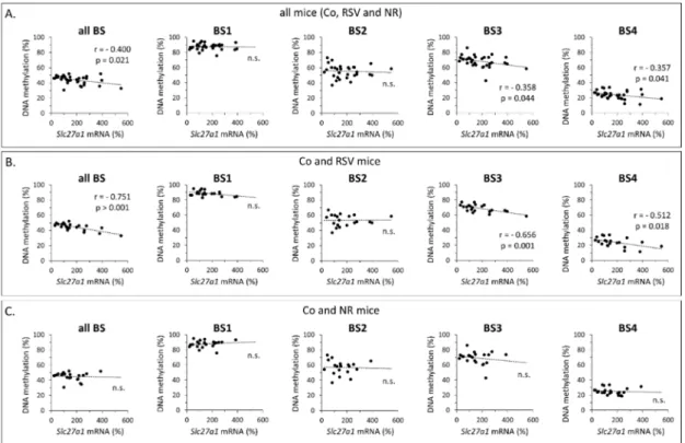 Figure 2. Association between Slc27a1 expression (mRNA levels) and Slc27a1 methylation status in  inguinal WAT of male mice neonatally treated with resveratrol (RSV) or nicotinamide riboside (NR)  and submitted in adulthood to a high-fat/normal-fat challen