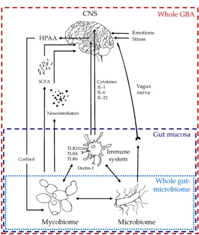 Figure 1. Proposed mechanisms of communication between the gut mycobiome and GBA. Figure  inspired from [38,95]; for details about fungi–immune system interactions see review [49,96]