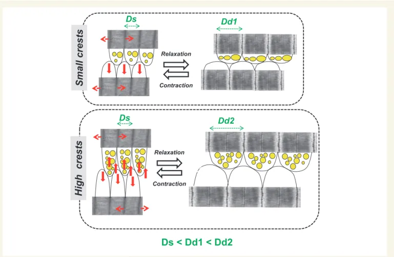 Figure 5 Continued