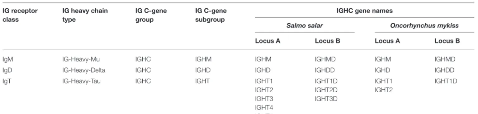 TABLE 1 | Salmonid IG receptor classes, heavy chain types, and IGHC gene names.