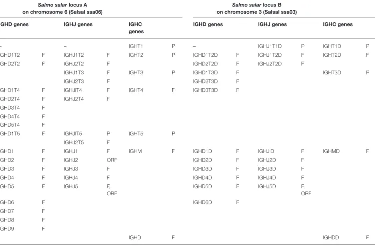 TABLE 2 | Atlantic salmon (Salmo salar) IGH constant C genes and associated D and J genes.
