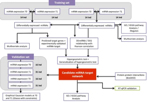 Figure 1.  Overview of the data analysis. Step 1: a linear model analysis of DEmiRNAs and DEGs