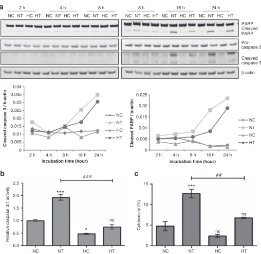 Figure 1 Hypoxia protects MDA-MB-231 cells against taxol-induced apoptosis and cell death