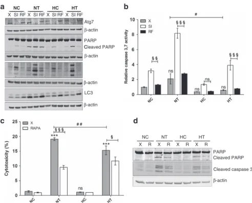 Figure 4 Autophagy promotes cell survival after taxol incubation under normoxia and hypoxia