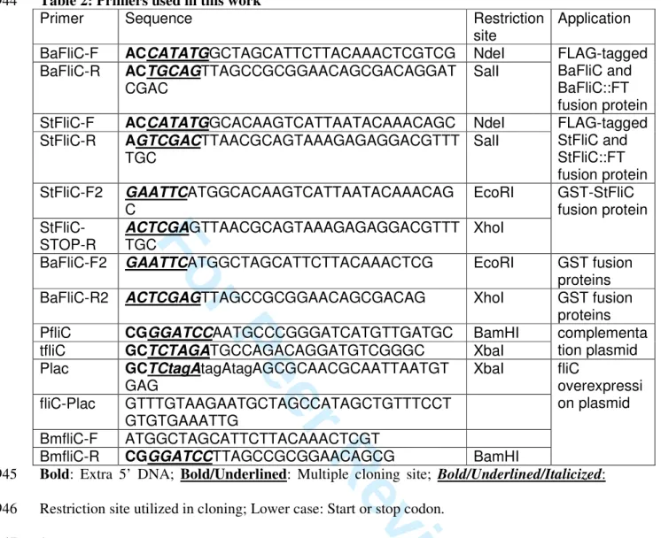 Table 2: Primers used in this work 944 