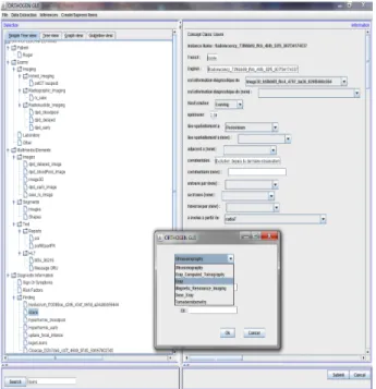 Fig. 3 show the GUI of a Java client connected to the  platform and to manipulate the contents of a diagnosis