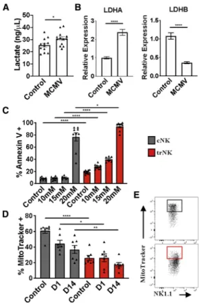 Figure 4. trNK Apoptosis Is the Consequence of Higher Sensitivity to Lactic Acid