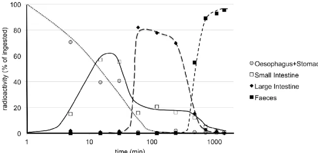 Figure 7. Time-course of the distribution of radioactivity in the stomach/intestine/feces in mice after the oral application  of [1α,2α- 3 H 2 ]20E