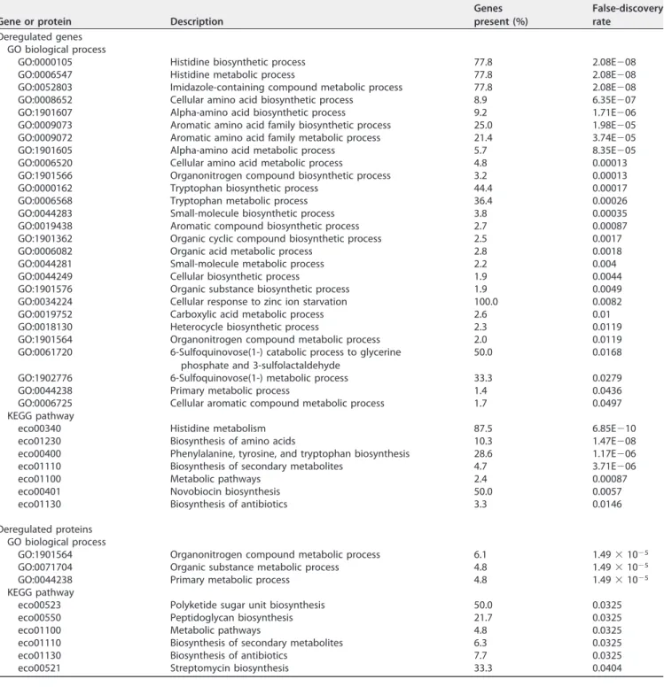 TABLE 1 GO term and KEGG pathway analysis of differentially regulated genes and proteins in E