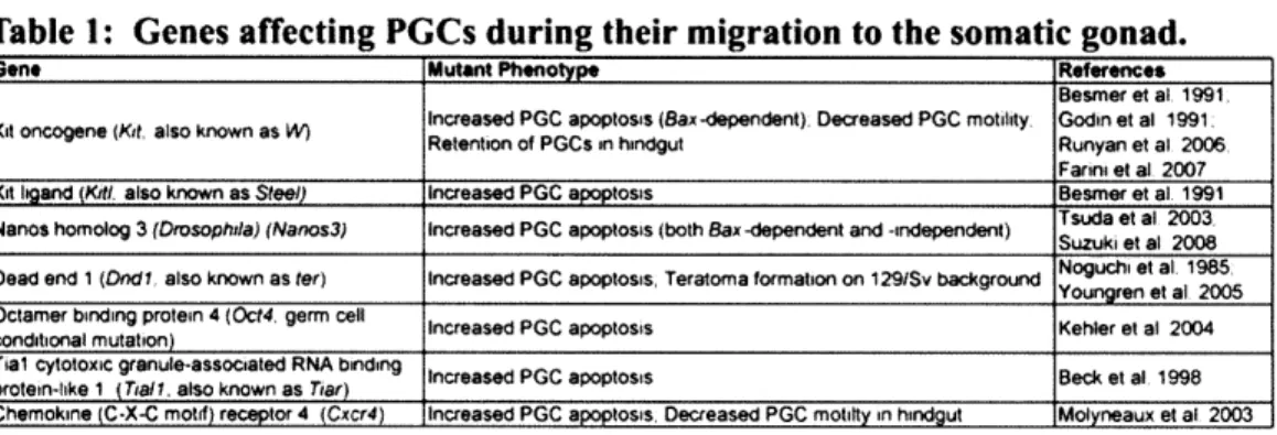 Table  1:  Genes  affecting  PGCs  during their migration to the somatic  gonad.