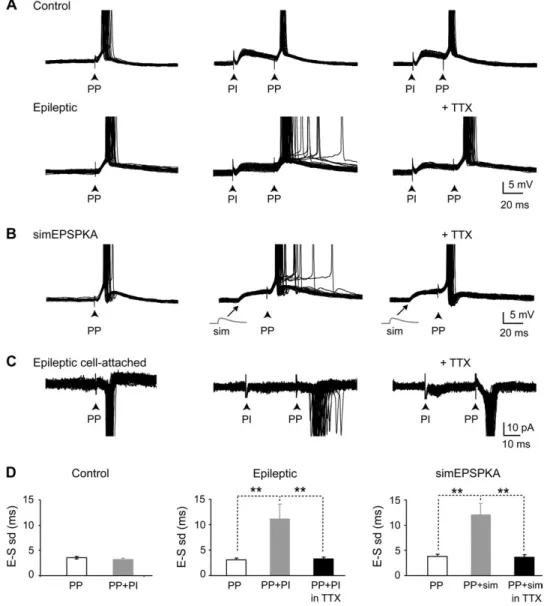 Figure 6. Aberrant EPSP KA tune PP-EPSPs to fire with a low temporal precision during synaptic integration