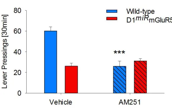 Figure  S2.  Effect  of  systemic  administration  of  the  CB1  antagonist  AM251  on  cue- cue-induced reinstatement of saccharin-seeking behavior, related to Figure 1