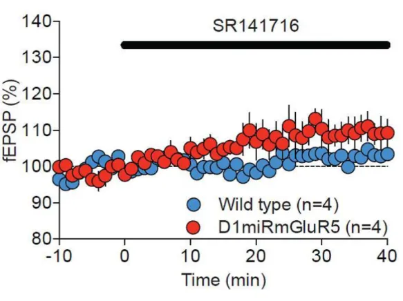 Figure S5. Tonic CB1R activation is minimal in both wild-type and D1 miR mGluR5 mice,  related to Figure 3