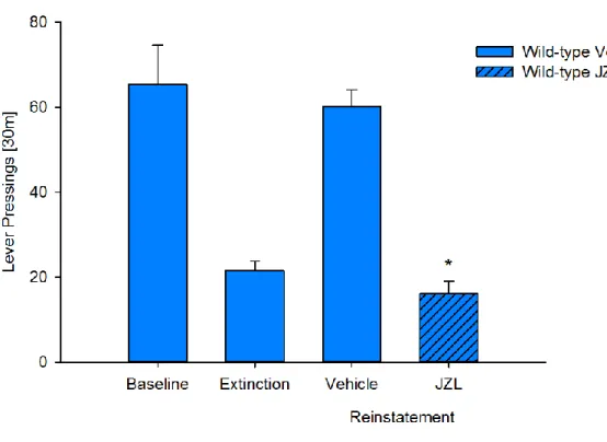 Figure  S7.  Effect  of  JZL  administration  on  saccharin  seeking  behavior  in  wild-type  mice, related to Figure 4