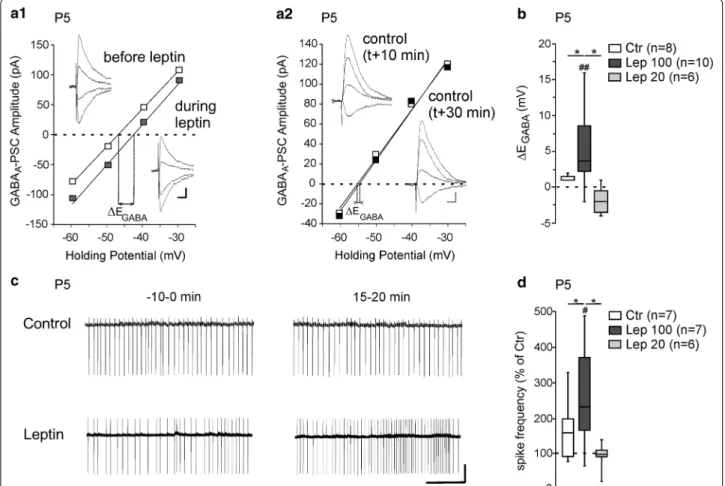 Fig. 1  Leptin controls chloride homeostasis in rat hippocampal slices. a Current–voltage (I–V) relationships for evoked GABAergic synaptic currents  before and during leptin application (100 nM, 20 min) a1 and in control experiments a2 during which neuron