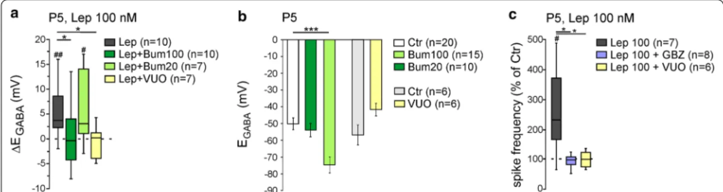 Fig. 2  Leptin controls KCC2 activity in rat hippocampal slices. a Box plots of ∆E GABA  induced by leptin 100 nM (20 min) in control condition (Lep), in  the presence of bumetanide 100 and 20 µM, or in the presence of VU0423271 (VU0, 10 µM)
