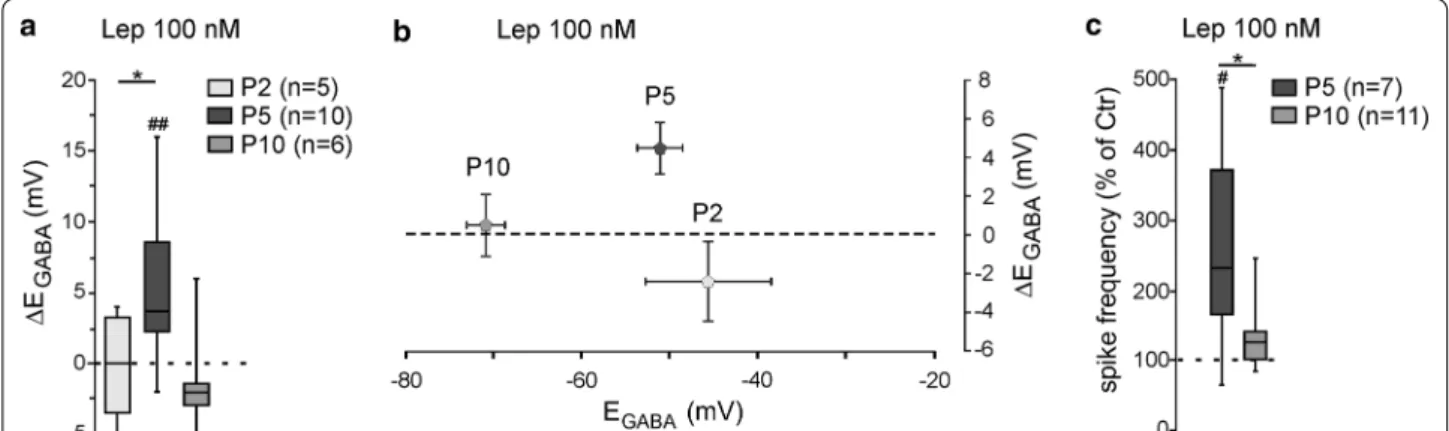 Fig. 3  The action of leptin of chloride homeostasis is developmentally regulated. a Box plots of ∆E GABA  induced by leptin (100 nM, 20 min) at  postnatal (P) day 2, 5 and 10
