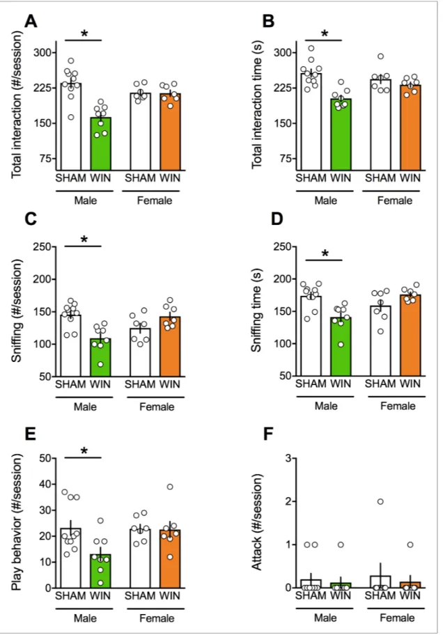 Figure 1. Prenatal cannabinoid exposure induces sex-specific social deficits at adulthood