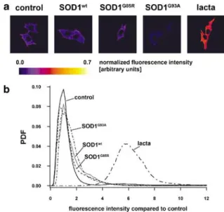 Figure 2 Quantification and localization of SOD1 ubiquitination in intact neuronal cells measured by FLIM