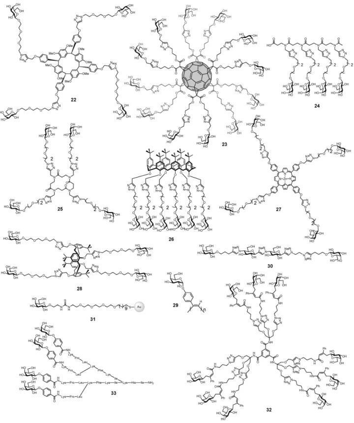 Fig. 9 Multivalent glycoconjugates 22–33 as LecA high aﬃnity ligands.