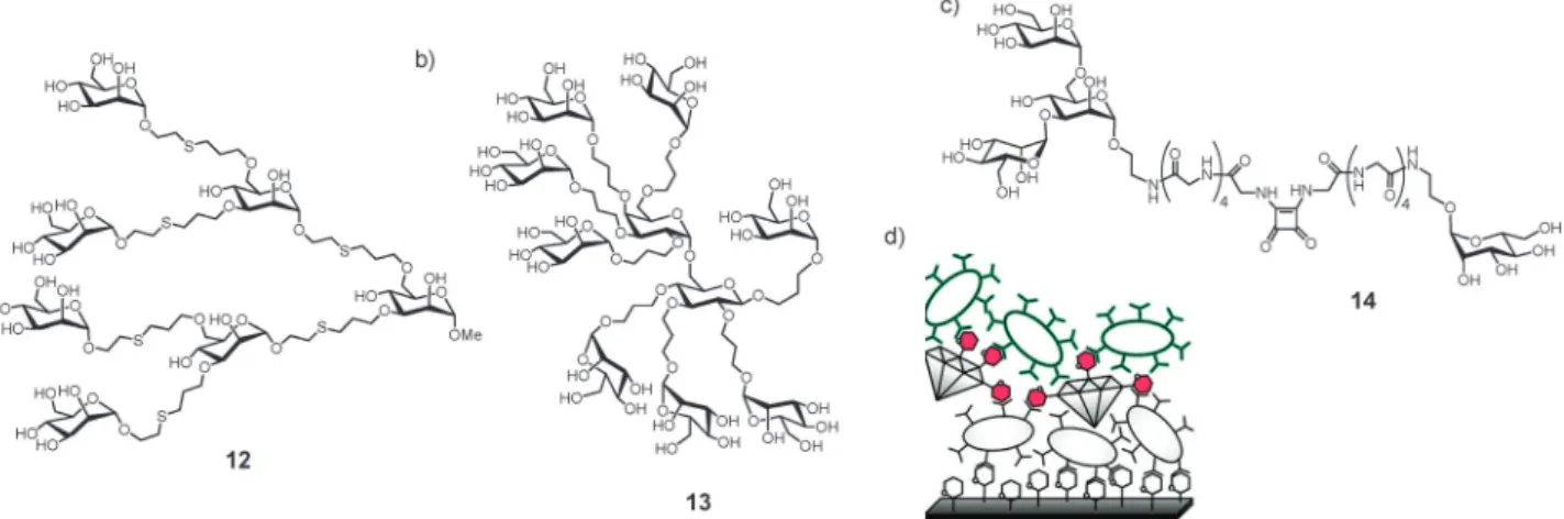 Fig. 6 Examples of various multivalent glycoconjugates inhibiting type 1 fimbriae-mediated bacterial adhesion
