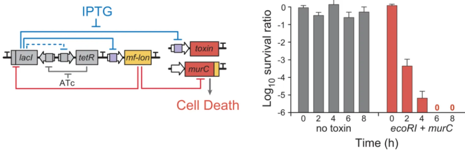 Figure 2. The fail-safe mechanism for Deadman circuit activation
