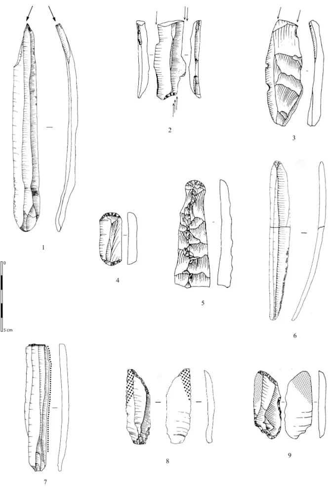 Fig. 9 – Principaux types d’outils sur lames : burins (1 à 3), grattoirs (4, 5), lame retouchée (6),  troncature (7), faucilles (8, 9)