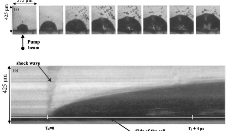 Fig. 4. (a) Formation and growth of plasma in carbon nanotube suspensions in chloroform