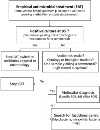 Figure 1. Algorithm proposal for the time of re-evaluation of empirical antimicrobial treatment and supplementary microbiological diagnosis of hip or knee prosthetic joint infection.