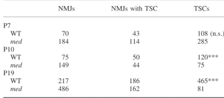 Table 4. Quantification of apoptotic TSCs on SM muscle thick sections from P7, P10 and P19 WT and med mice [Correction added after first online publication on 30 May 2012: The incorrect alignment of the table headers of Table 4 has been replaced.]