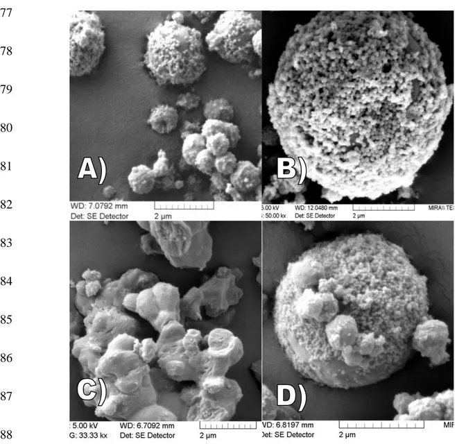 Figure  2:  SEM  micrographs  of  trojan  hybrid  SPION  loaded  microparticles:  A)  25P-75H-5F ,  B) 489 