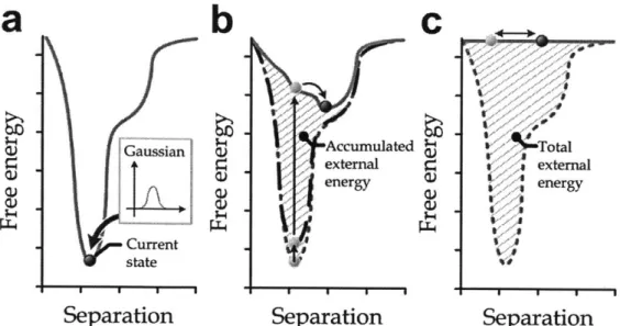 Fig 3.3  (a) Gaussians  are  continuously  added  to  the molecular  system, (b)  Because  of the additional external energy source, the free energy  profile  of the system varies during  the simulation  process, (c) At the  end  of the  procedure,  the  s