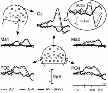 Figure 4: Bimodal vs Sum of Unimodal Responses 