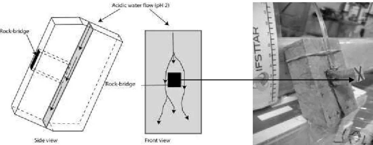 Figure 12: Schemes of the shape limestone samples for the experiment Alteration in the case of 