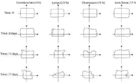 Figure 15: Comparison between the different states of alteration for each limestone of their rock  bridges ’  perimeter measured with laser