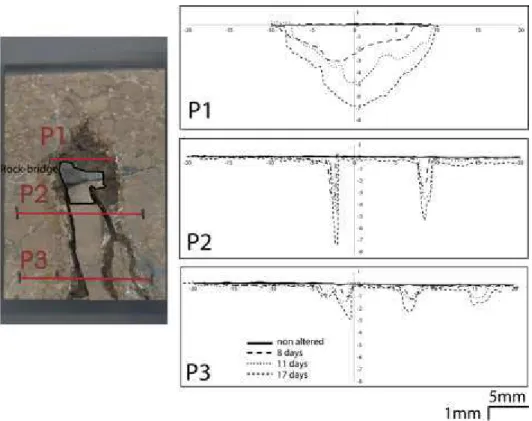 Figure 16: Montagnole sample after acidic water runoff, line P1, P2, P3 represent the place we  take the profile by laser (left)