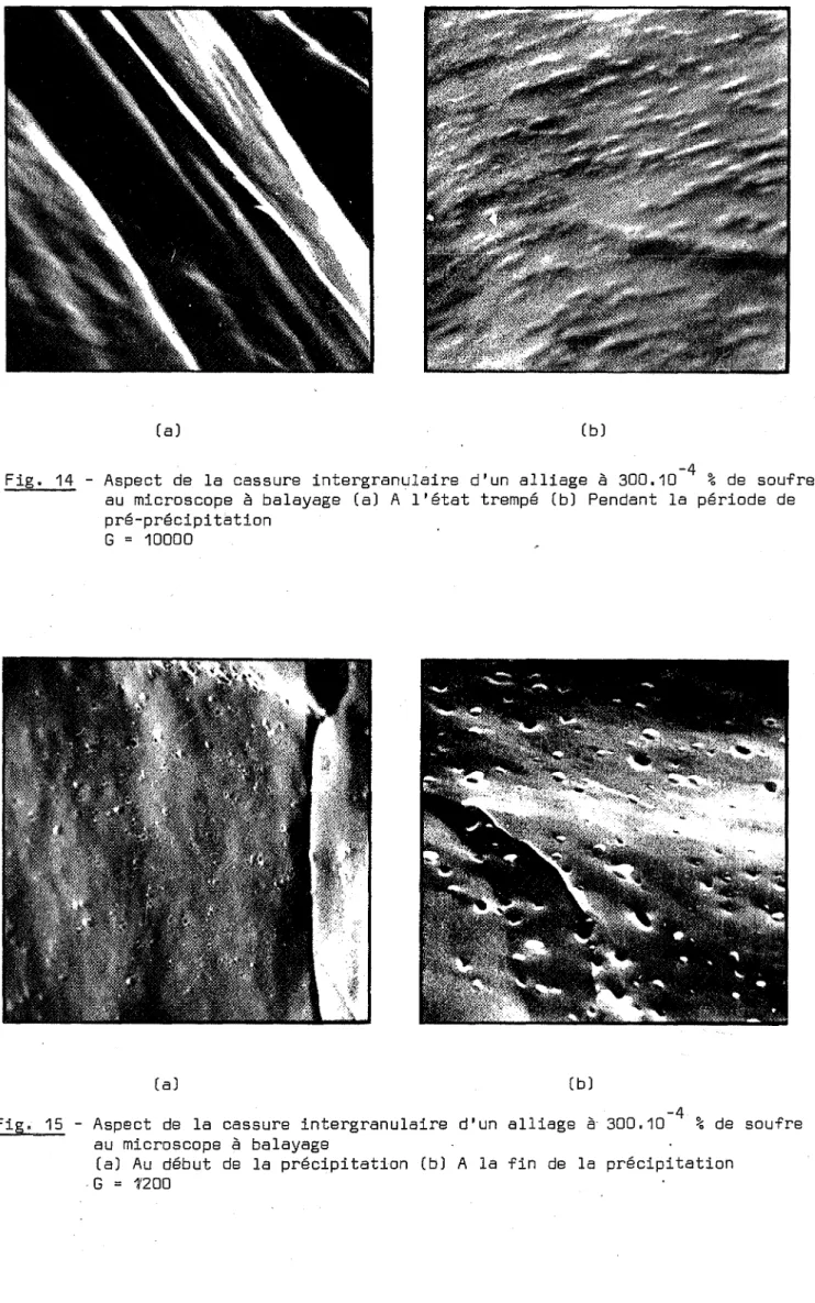 Fig. 15 - Aspect de la cassure intergranulaire au microscope è balayage