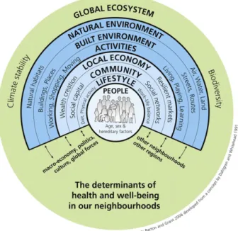 Figure 1. The ‘settlement health map’. Reproduced with