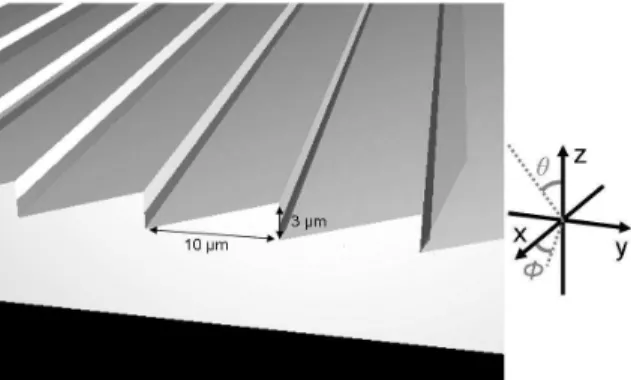 FIG. 1: Structure found on the outer surface of the firefly-cuticle