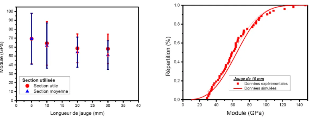 Figure I.14 – Influence de la longueur de jauge sur le module d’Young à l’échelle de la fibre unitaire (à gauche) et étude statistique de la variabilité des modules (à droite) par Barbulée [21].