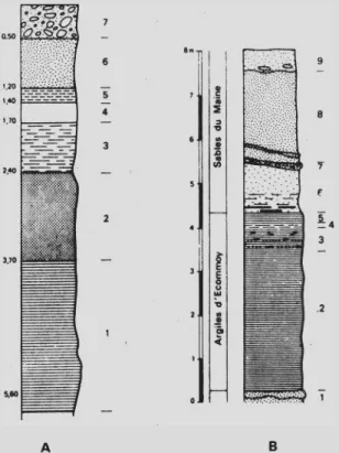 Fig. 5 .- A.-coupe du sondage de La Bironnière  :  1, argiles noires ; 2, argiles mauves; 