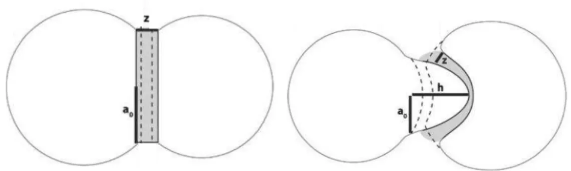 Figure 2: Two coalescing bubbles : planar (left) and stretch (right) profiles.