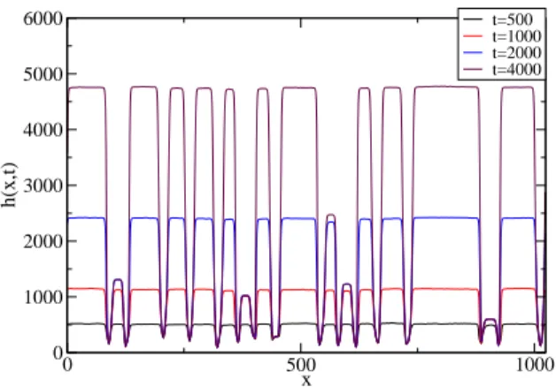 Figure 8: Continuous model. Snapshot of the interface given by the non- non-linear shadowing anisotropic diffusion model given by equation (3) at time t = 500, 1 000, 2 000 and 4 000