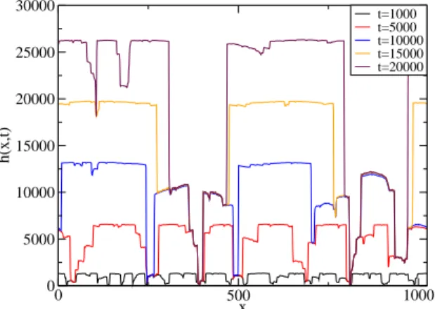 Figure 2: Discrete model. Interface h(x, t) at time t = 1 000, 5 000, 10 000, 15 000 and 20 000 for θ max = 60 ◦ and L = 1024.