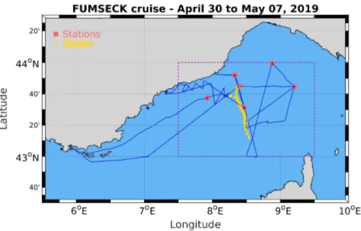 Figure 1: FUMSECK cruise (blue). The geographical domain is shown in purple, the stations in orange squares, and the glider trajectory in yellow.
