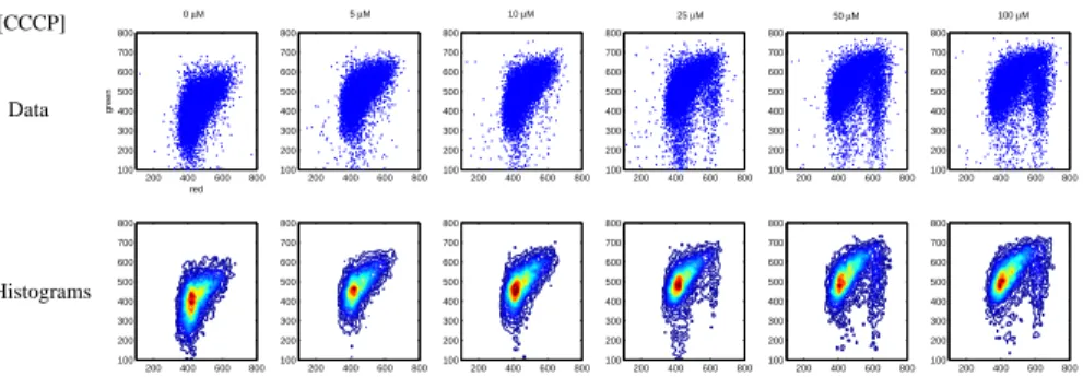 Fig. 4: A sequence of flow cytometry data showing the response of T47D cells to CCCP. The upper line figures correspond to the data and the lower line figures are the corresponding 2-D histograms.